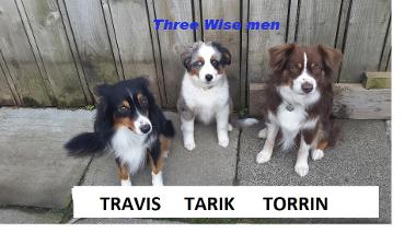 Travis Tarik Torrin